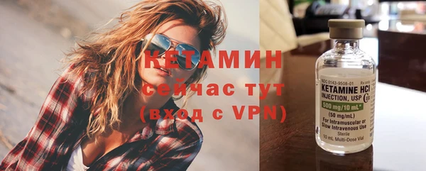 амф Ельня