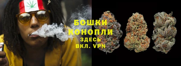 дурь Заводоуковск