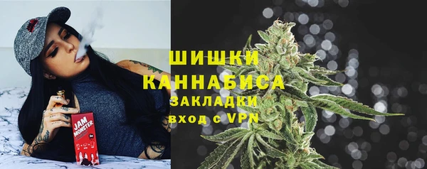 дурь Заводоуковск