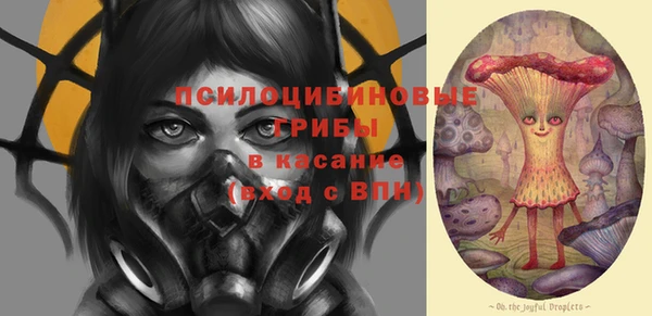 дурь Заводоуковск