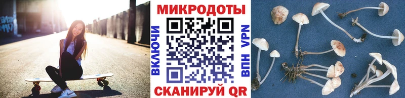 Купить где  Кореновск  Галлюциногенные грибы Cubensis 